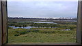 SP2099 : View from the Lookout hide, RSPB Middleton Lakes Nature Reserve by Phil Champion