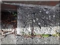 Bournemouth: rivet bench mark on Prince of Wales Road steps