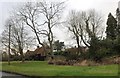 Green on Chartridge Lane