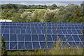 Solar Farm