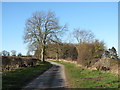 Lane on the Cliffe Hall estate