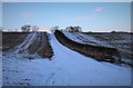 Tricky access to Mackeanston Bungalow