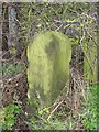 Old Boundary Marker by Cox Green Road, south of Washington