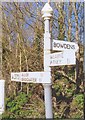 Old Direction Sign - Signpost by the A372, White Hill, west of Wearne