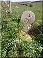 Old Milestone south west of Campbeltown