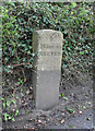 SX8289 : Old Milestone by the B3212, Six Mile Hill, east of Reedy by Alan Rosevear