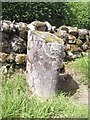 Old Milestone by the A762, Burnfoot, Kells Parish