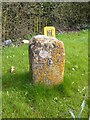 SP0653 : Old Milestone by the B4088, Dunnington, Arrow Parish by Alan Rosevear