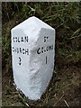 Old Milestone east of Tregaswith, St Columb Major Parish