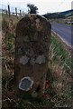 Old Milestone near Milsington, Roberton Parish