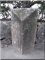 Old Milestone by Glenburn Road, South Knapdale Parish