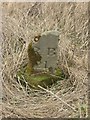 NY9576 : Old Milestone by the B6342, north east of Fell House, Chollerton Parish by IA Davison