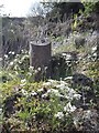 Old Milestone by the A841, north of Seacliffe, Kilmory Parish, Arran