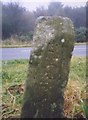 NZ8108 : Old Guide Stone by the A171, Lady Cross, Hutton Mulgrave Parish by Milestone Society