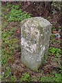 Old Milestone by the A48, west of Minsterworth