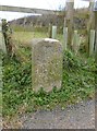 Old Milestone by the A381, Salcombe Road, West Batson