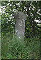 Old Wayside Cross - Beetor Cross by the B3212