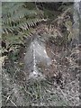 Old Milestone by the A82, Tom Eachrain