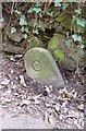 Old Bridge Marker by Bell Farm Road, Ide Parish