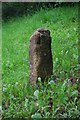 Old Milestone by the A267, Five Ashes, Mayfield