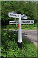 Old Direction Sign - Signpost by the B2096, Darwell Hole