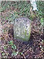 Old Milestone by the A361, west of West Down