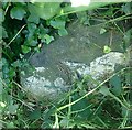 Old Milestone by the A487, north of Dole, Trefeurig Parish