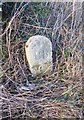 Old Boundary Marker by the former A30, east of Ramsley