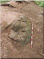 Old Boundary Marker by Saddlebole, Nether Alderley Parish