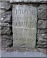 Old Milestone by the A484, Bronwydd Road, Carmarthen Parish