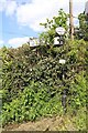 Old Direction Sign - Signpost by Upper Farmcote, Claverley Parish