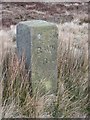 SE1345 : Old Boundary Marker on Burley Moor, north of High Lanshaw Dam by Milestone Society