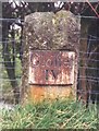 Old Milestone by the former A38, Prior