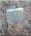 SD9737 : Old Boundary Marker on Crow Hill, Trawden Forest Parish by Milestone Society