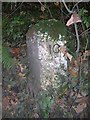 Old Milestone south of Maybole, Maybole Parish