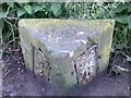 Old Boundary Marker by the A658 Harrogate Road near Buttersyke Bar