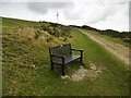 SY9782 : Corfe Castle, seat by Mike Faherty