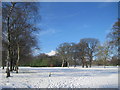 SJ4186 : Allerton Golf Course in the snow by Sue Adair