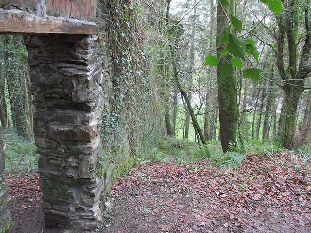 Woodland Wall