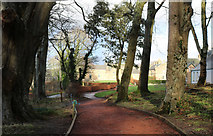 NS2310 : Path to the Visitor Centre at Culzean by Billy McCrorie
