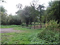 Path along Mill Lane, parallel to the Avon