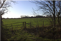 SD4454 : Field gate on Moss Lane by Robert Eva
