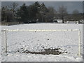 Snowy football pitch, Winchmore Hill