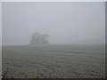 SK6270 : Tumulus in the fog by Jonathan Thacker