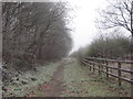 Bridleway alongside Lodge Brake Plantation