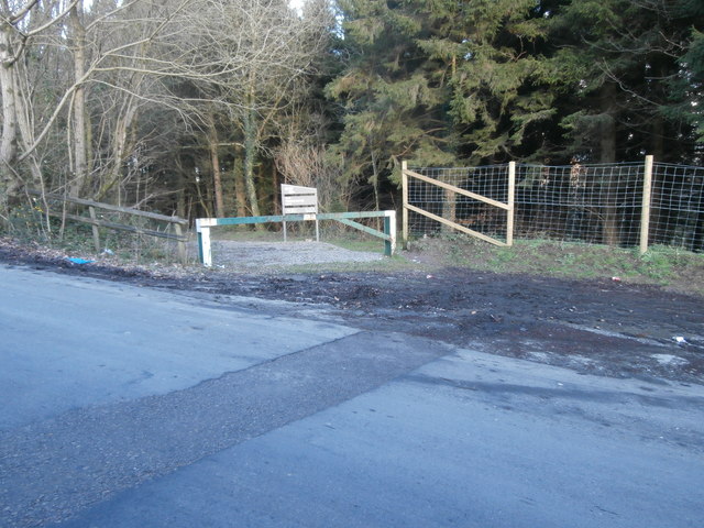 Entrance to Coedynysmaerdy