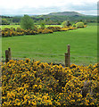 Farmland near Pennerley