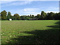 Cricket ground south of Penpole Lane