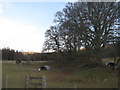 Farmland at West Balnald