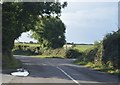 W6550 : Rural road in County Cork by N Chadwick